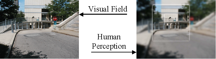 Vidno polje i ljudska percepcija.