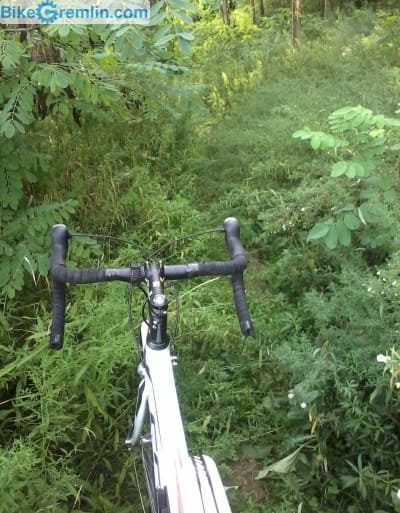Kvalitetan drumski bicikl u šumi - moguće je, i zna biti lepo :)