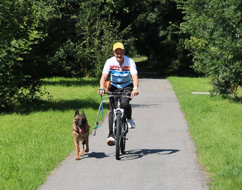 Uživajte u vožnji bicikla sa svojim psom