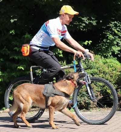 Pas kaska pored bicikla
