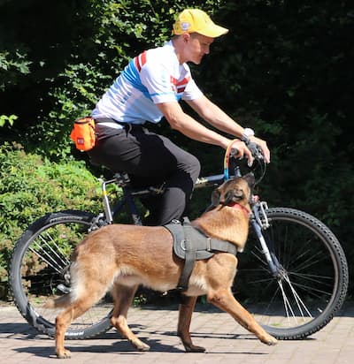 Pas kaska pored bicikla